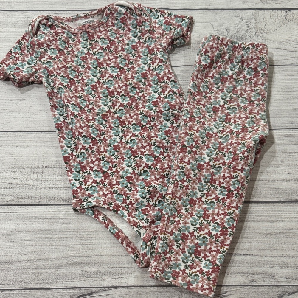 Child of Mine Baby Girls Floral Bodysuit and Matching Pants- Mauve and Teal